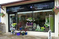 Vanda Flowers 1092566 Image 0